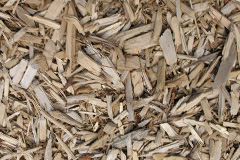biomass boilers Parrog